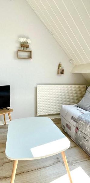 Location Appartement 1 pièce 17m² BOURGES 18000 - Photo 1