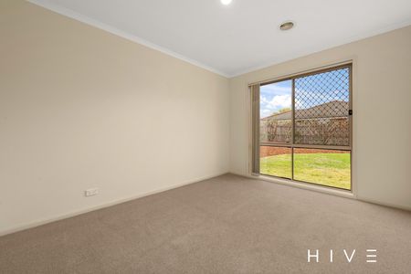 18 Clemenger Street, Nicholls ACT 2913 - House For Rent | Domain - Photo 3