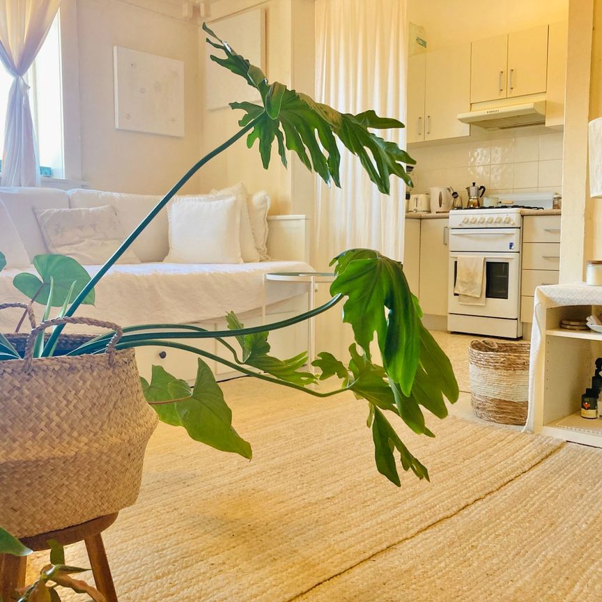 North Bondi - Photo 1