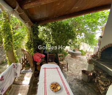 Μονοκατοικία για ενοικίαση Μαθιά (Καστέλλι) - Photo 2