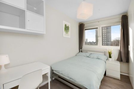 119 Candy Street-Room 2 - Photo 5