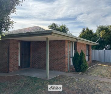 Unit 1/56 Eighth Street, 3500, Mildura Vic - Photo 5