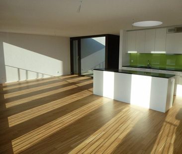 2.5-Zimmerwohnung in Windisch mieten - Foto 1