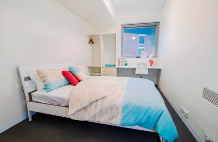 Large Studio Apartment - Photo 2