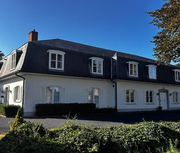 Gelijkvloers appartement te huur in Lokeren - Foto 3