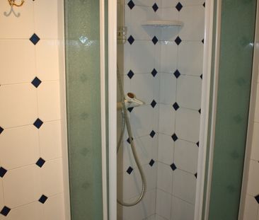 DRAGON Lanterne - DISPONIBLE LE 9 JANVIER 2026 - Photo 1