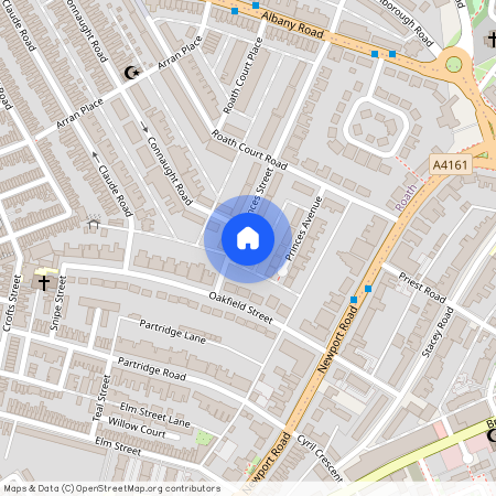 Princes Street, Roath, CF24