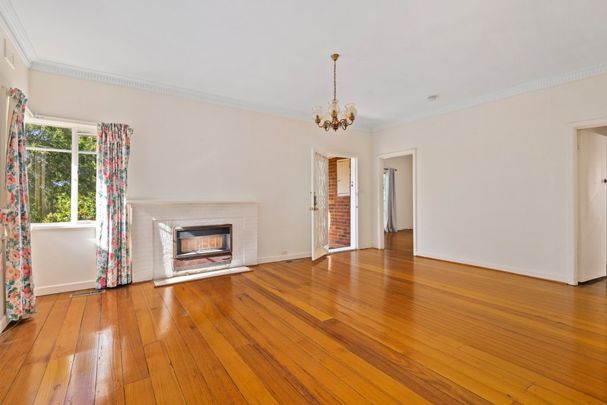 Family Home within Balwyn High School Zone - Photo 1