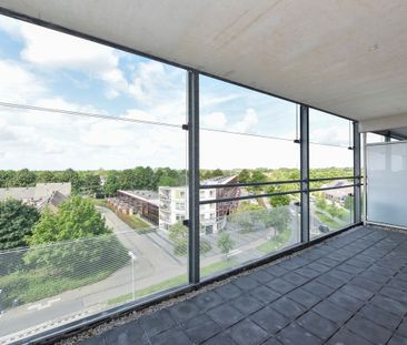 Sleutelbloem 23 - Foto 5