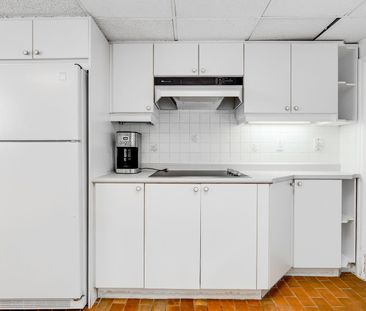 For Lease - 529 Spadina Road Unit# Lower, Toronto, Ontario - Photo 2