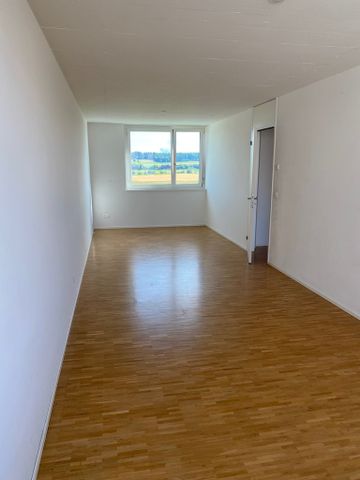 4 ½ Zimmer-Wohnung in Zürich mieten - Foto 3