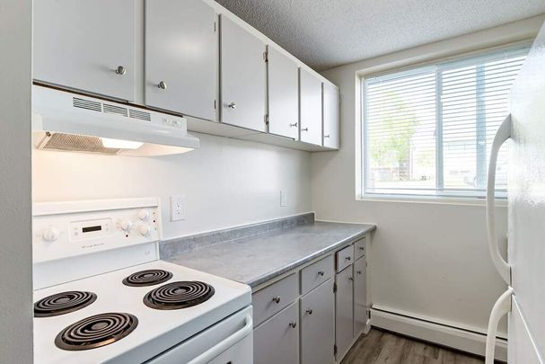 Renovated Suite - 2 Bedroom - Photo 1
