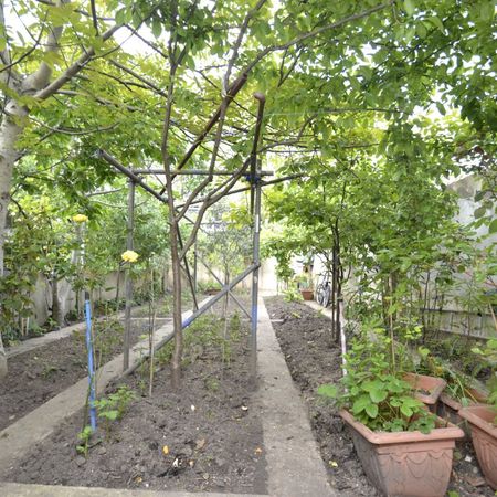 Rectory Road, London, N16 - Photo 4