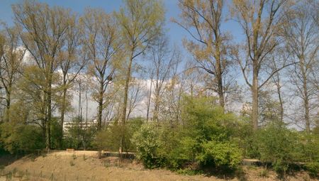 3.5 Zimmer, 98 m², 2. Stock - Foto 4