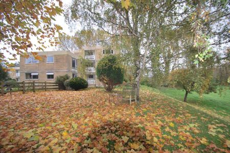 Grosvenor Bridge Road - Photo 4