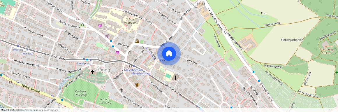 Bläsistrasse 29, 8049 Zürich