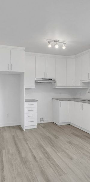 Beau Logement 1 Chambre - Gatineau - Photo 1