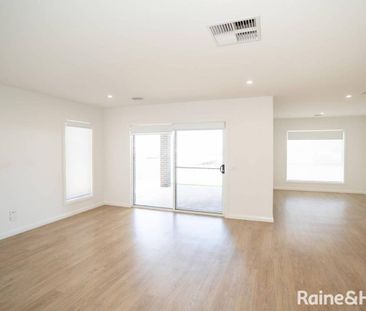 Jump into Jumbuck - Photo 1