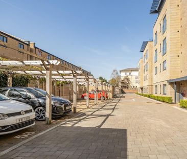1 bedroom flat to rent - Photo 6