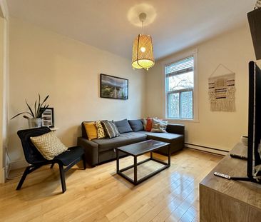 6645 Rue Alma - Photo 4