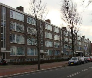 Hengelolaan 2545 JA 's-Gravenhage - Photo 1