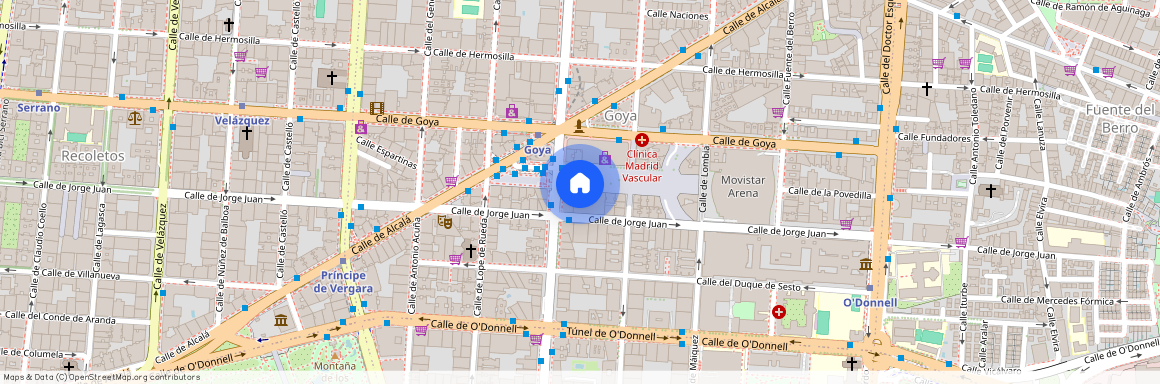 Avenida Felipe II 16, 1D 28009, Salamanca, Goya, Madrid