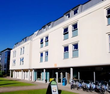 Medium Studio - Photo 6