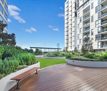711/27 Halifax Street, Macquarie Park - Photo 4