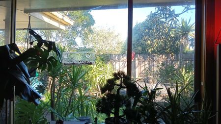 Bentleigh East - Photo 2