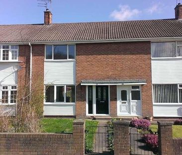 Hopgarth Gardens, Chester Le Street, DH3 - Photo 4