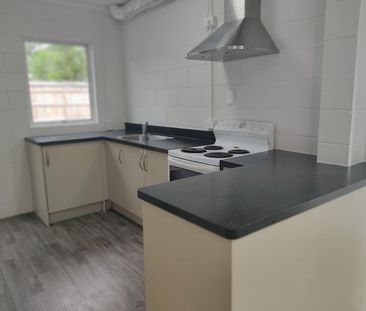 Refurbished family home - Otumoetai - Photo 5