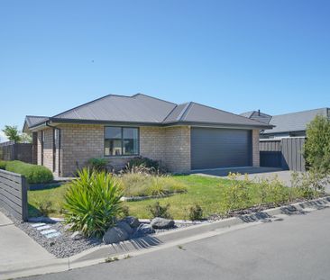 Treasure in Pegasus - Photo 1