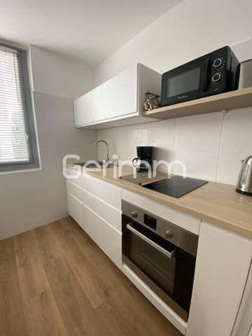 Location Appartement 1 pièce 30,26 m² - Photo 3