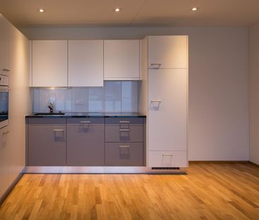 2.5 Zimmer, 53 m², 1. Stock - Foto 1