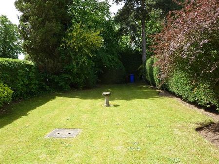 2 Bedroom Mews To Let - Photo 4
