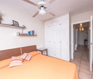 Apartamento de alquiler en Avenida Ferrandis Salvador, 68, Els Terrers - Foto 3