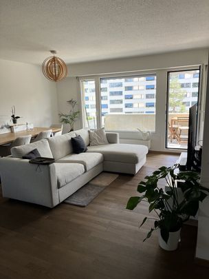 2-ROOM APARTMENT IN SCHLIEREN (ZH), FURNISHED, TEMPORARY - Photo 1