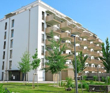 Moderne 2 Zi Wohnung mit Balkon - MIETFREI bis 15.12! (nahe U1) - Photo 1