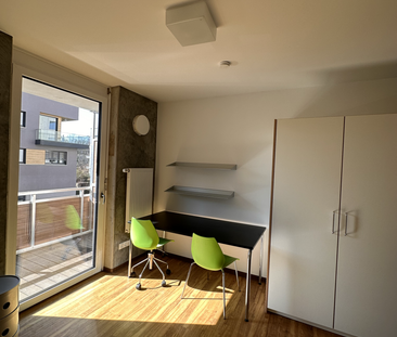 Möbliertes 1-Zimmer-Apartment - Foto 3