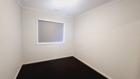 Bright & Beautiful! - Photo 2