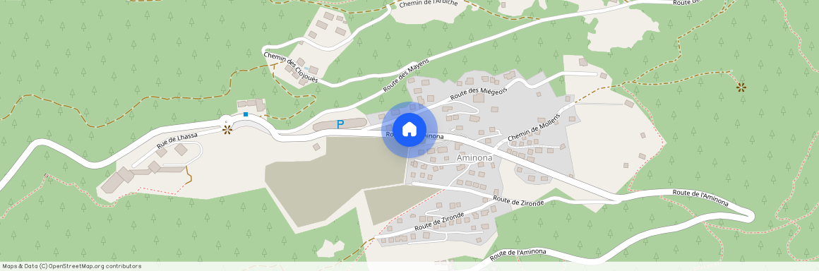 Aminona 3963, Aminona