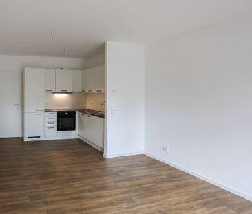 Helle 3-Zimmer-Wohnung mit zwei Terrassen und Gartenzugang - Foto 2