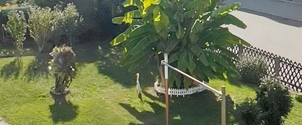 2,5-Zimmer-Wohnung mit Einbauküche & Mietergarten – direkt am Stadtpark - Foto 1