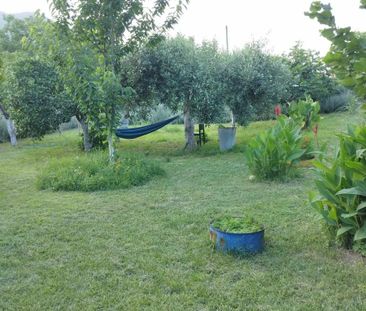 Διαμέρισμα για ενοικίαση Σάρχος (Κρουσώνας) - Φωτογραφία 6