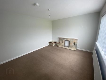 227 Tandragee Road, Portadown, BT62 3RA - Photo 4