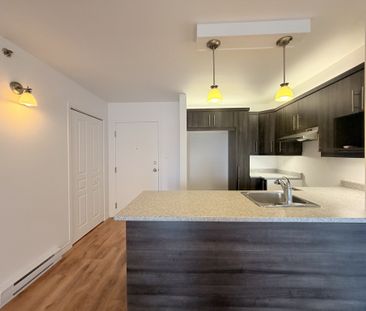 3½ à Louer Lévis - 2 Mois Gratuits! - Photo 2