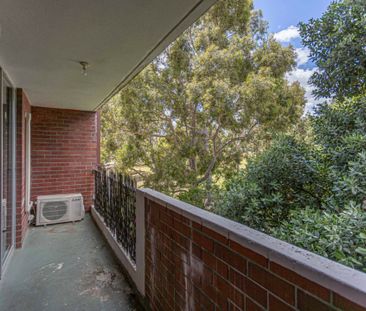 Freshly updated, in Vibrant Victoria Park - Photo 2