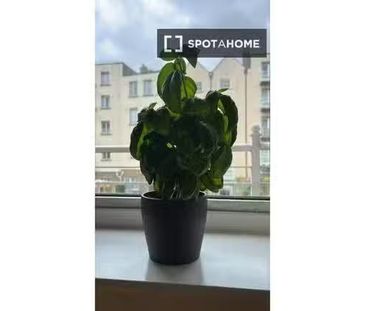 Studio for rent in North City, Dublin - Photo 4