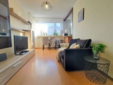 MIESZKANIE PRZYJAZNE KOTOM, 2 POKOJE, BALKON - Zdjęcie 5