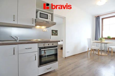Pronájem bytu 1+1, Popůvky u Brna, částečně zařízený - Photo 4